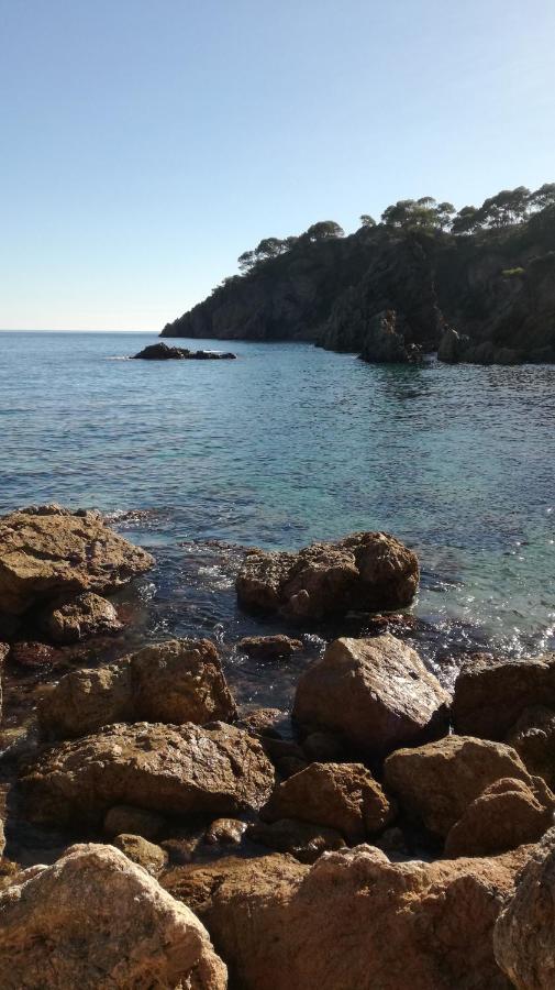Apartment Con Piscina L' Ancora Calella De Palafrugell